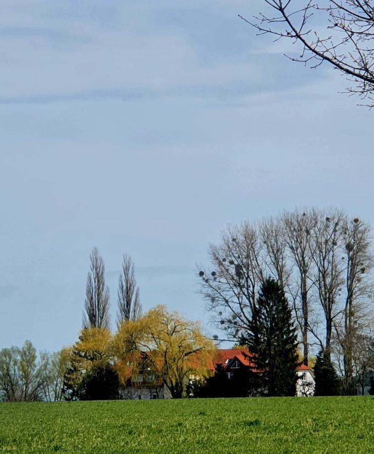 Haus Mueritz, Fewo 12 Moewe Zielow Bagian luar foto